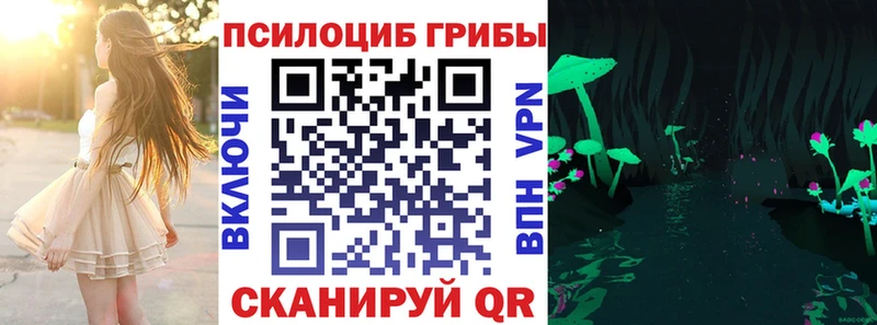 kraken tor Котельниково Галлюциногенные грибы Psilocybine cubensis