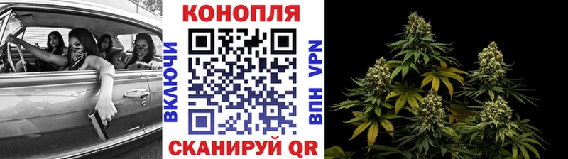 Бошки марихуана тримм  Котельниково 